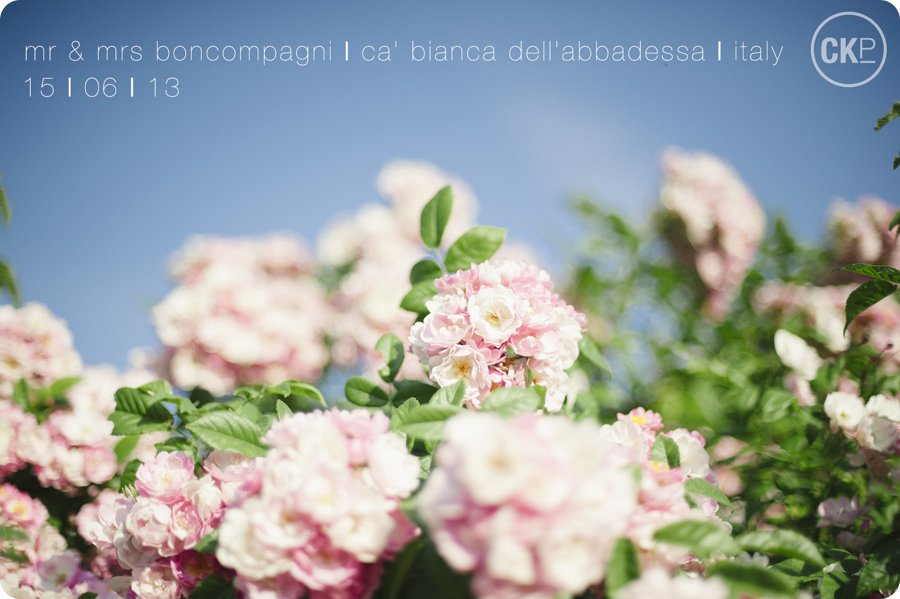 Mr & Mrs Boncompagni Destination Wedding Italy © Charlotte Knee Photography_WEB.jpg