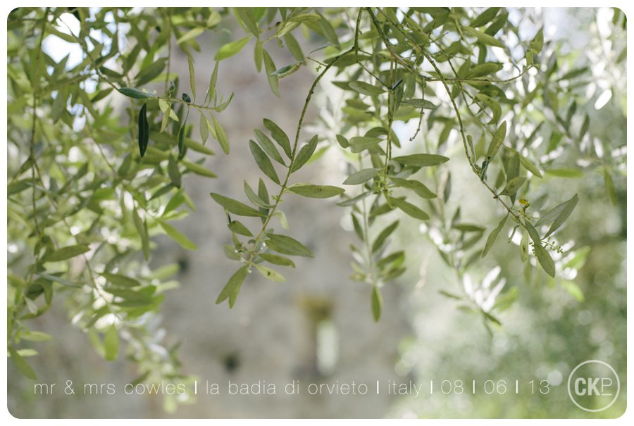 Mr & Mrs Cowles Destination Wedding Photography © Charlotte Knee Photography_WEB.jpg