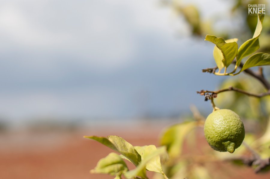 Cyprus destination wedding Charlotte Knee Photography_0181.jpg_0098.jpg
