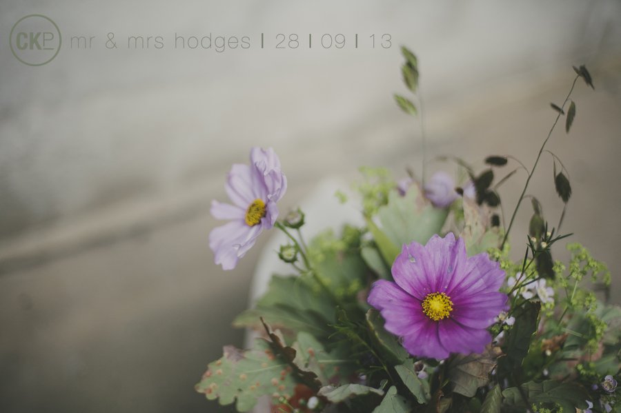 HODGES blog intro image.jpg