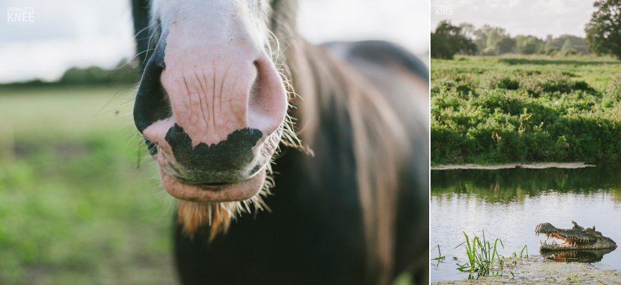 London Engagement photography Charlotte Knee Photography_0042.jpg