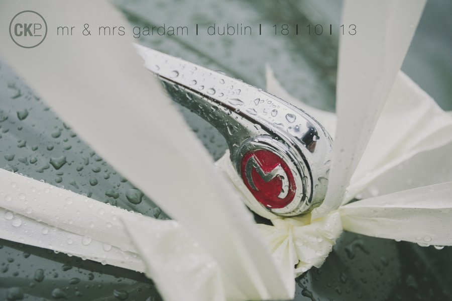 GARDAM blog intro image.jpg