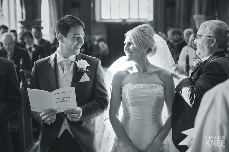 2013 highlights, family portraits, newborn portrait, headshots, wedding, Charlotte Knee Photography_0002.jpg