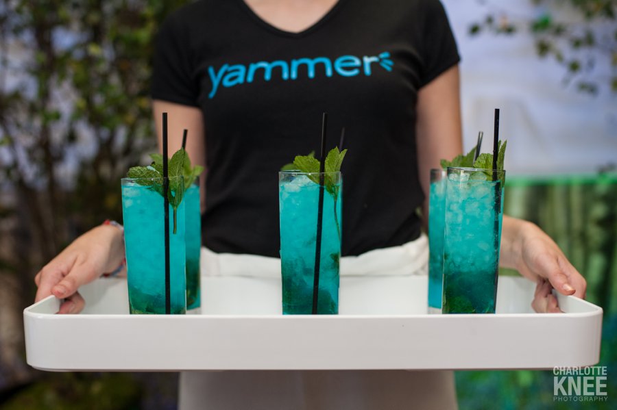 2013 highlights, family portraits, newborn portrait, headshots, wedding, Charlotte Knee Photography_0004.jpg