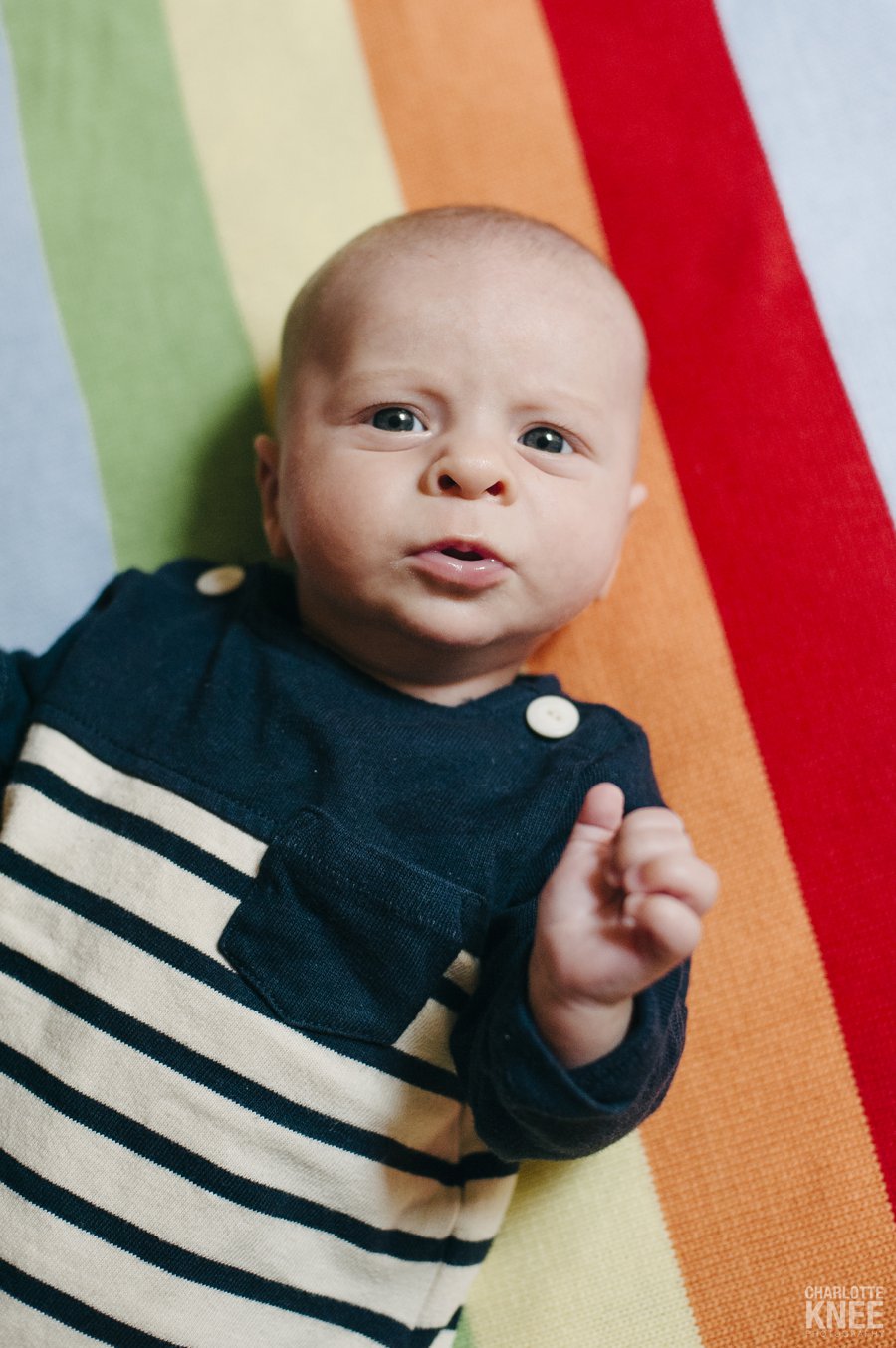 2013 highlights, family portraits, newborn portrait, headshots, wedding, Charlotte Knee Photography_0025.jpg