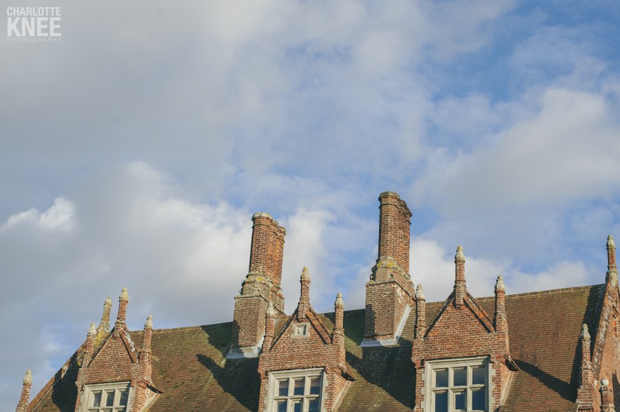 2013 highlights, family portraits, newborn portrait, headshots, wedding, Charlotte Knee Photography_0028.jpg