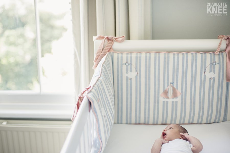 2013 highlights, family portraits, newborn portrait, headshots, wedding, Charlotte Knee Photography_0036.jpg