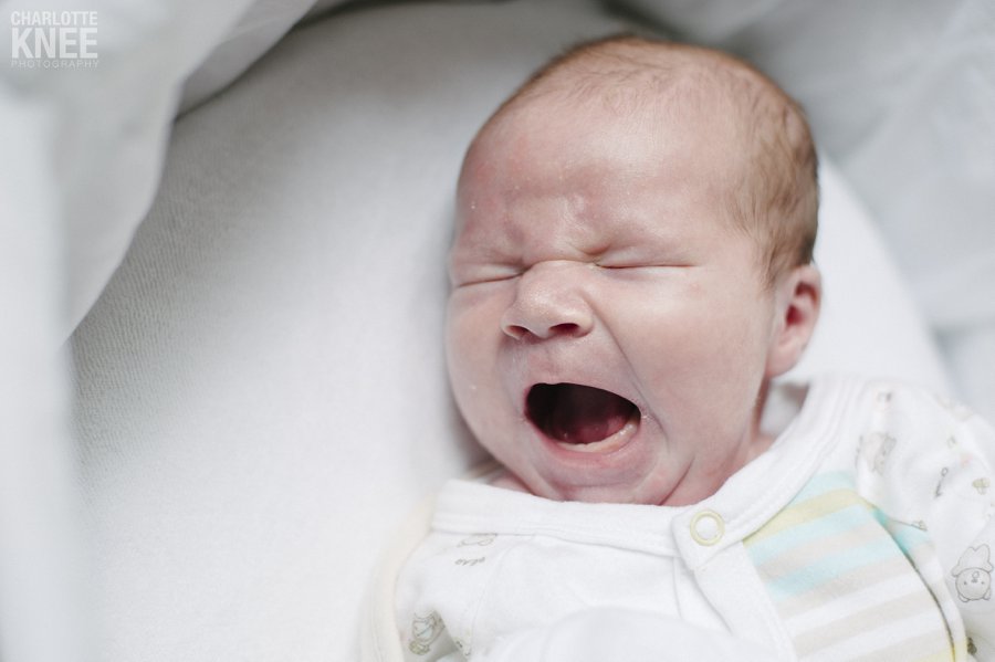 2013 highlights, family portraits, newborn portrait, headshots, wedding, Charlotte Knee Photography_0045.jpg