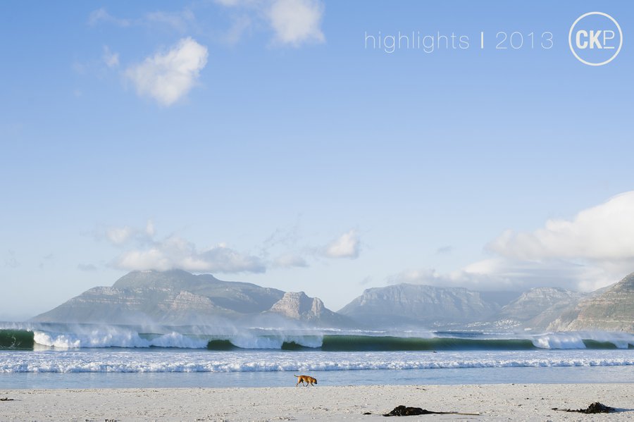 2013 highlights, family portraits, newborn portrait, headshots, wedding, Charlotte Knee Photography_0047.jpg